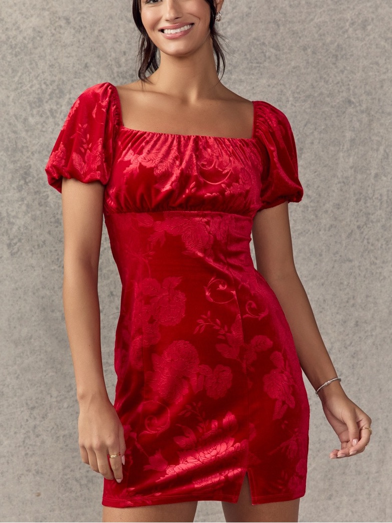 Francesca's Red Lois Velvet Burnout Jacquard Mini Dress Vamp Whimsigoth